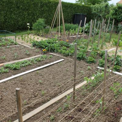 potager