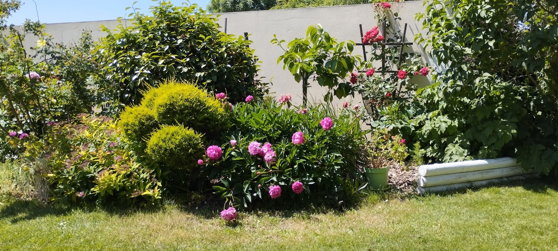 Img 20250517 134552