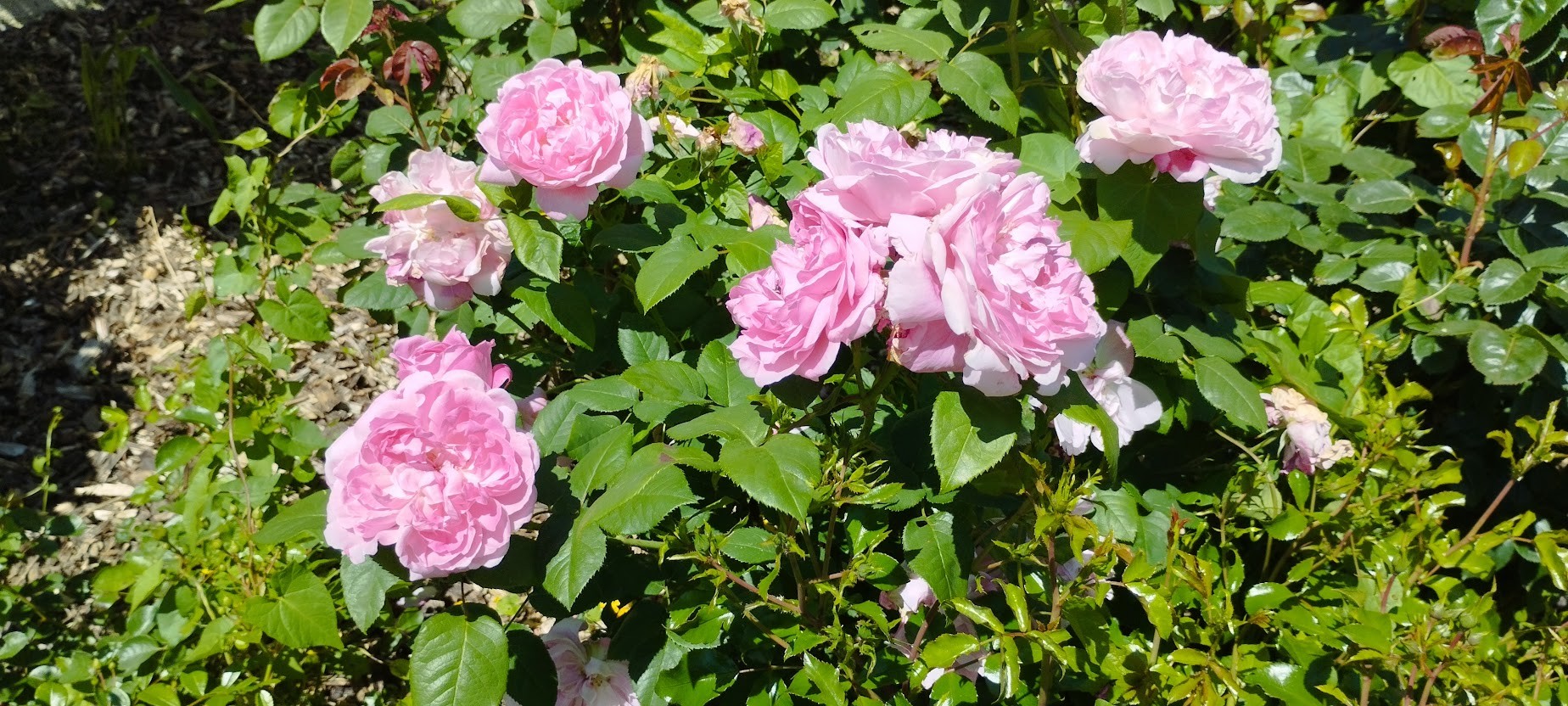 Img 20250517 134641