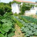 Le Potager - jardin-mai